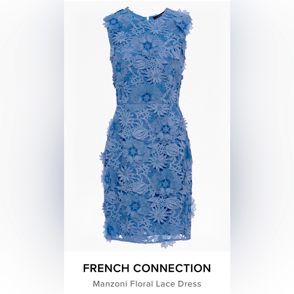 Brand new beautiful French Connection dress with tag